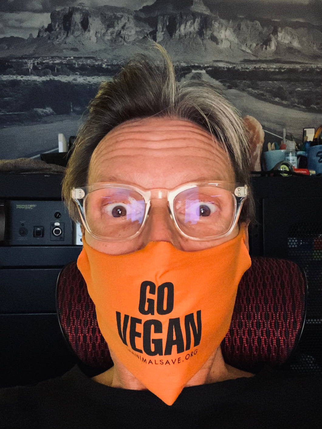 Go Vegan/Eat Plants Face Masks